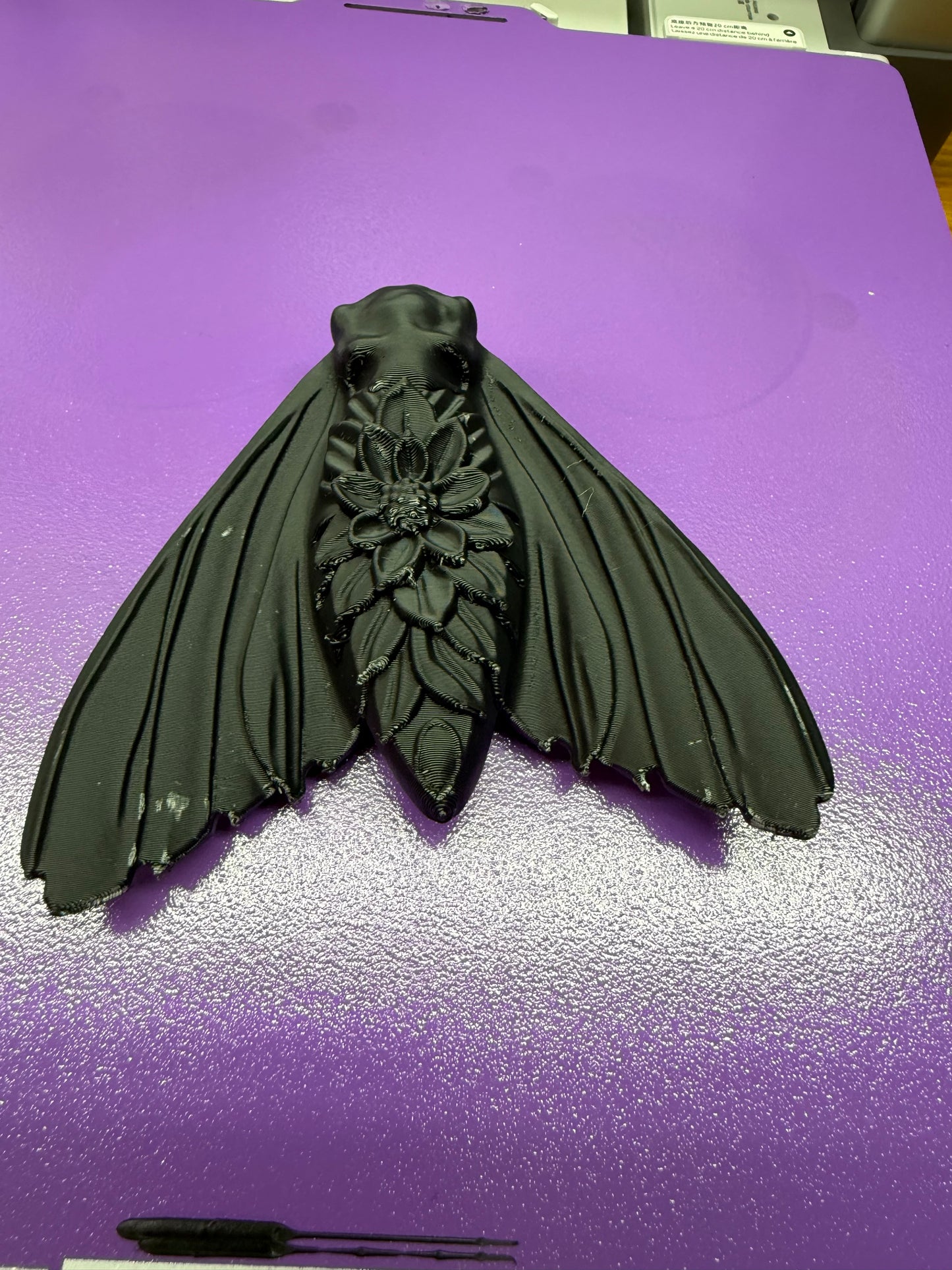Misfit Death Moth
