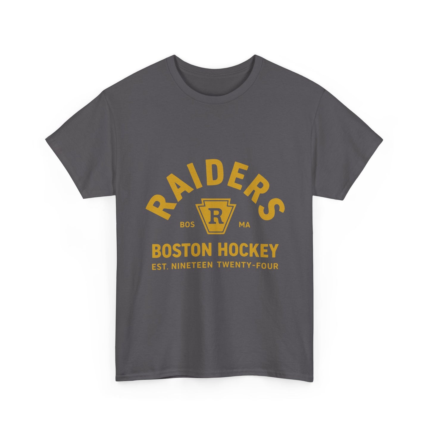 Heated Rivalry Hockey Tee — Rozanov #81 Vintage