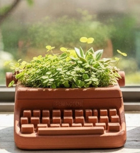 Typewriter Planter
