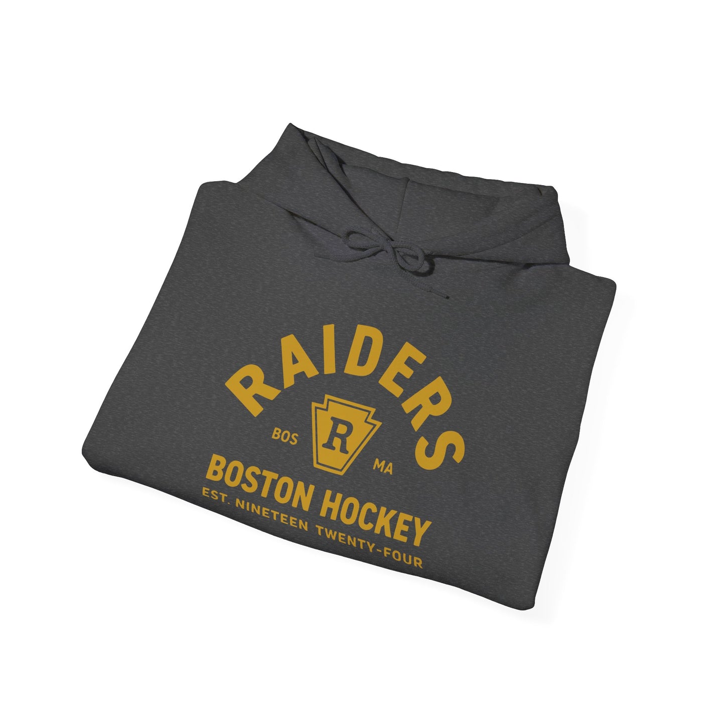 Heated Rivalry Hooded Sweatshirt