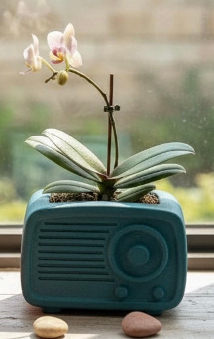 Vintage Radio Planter