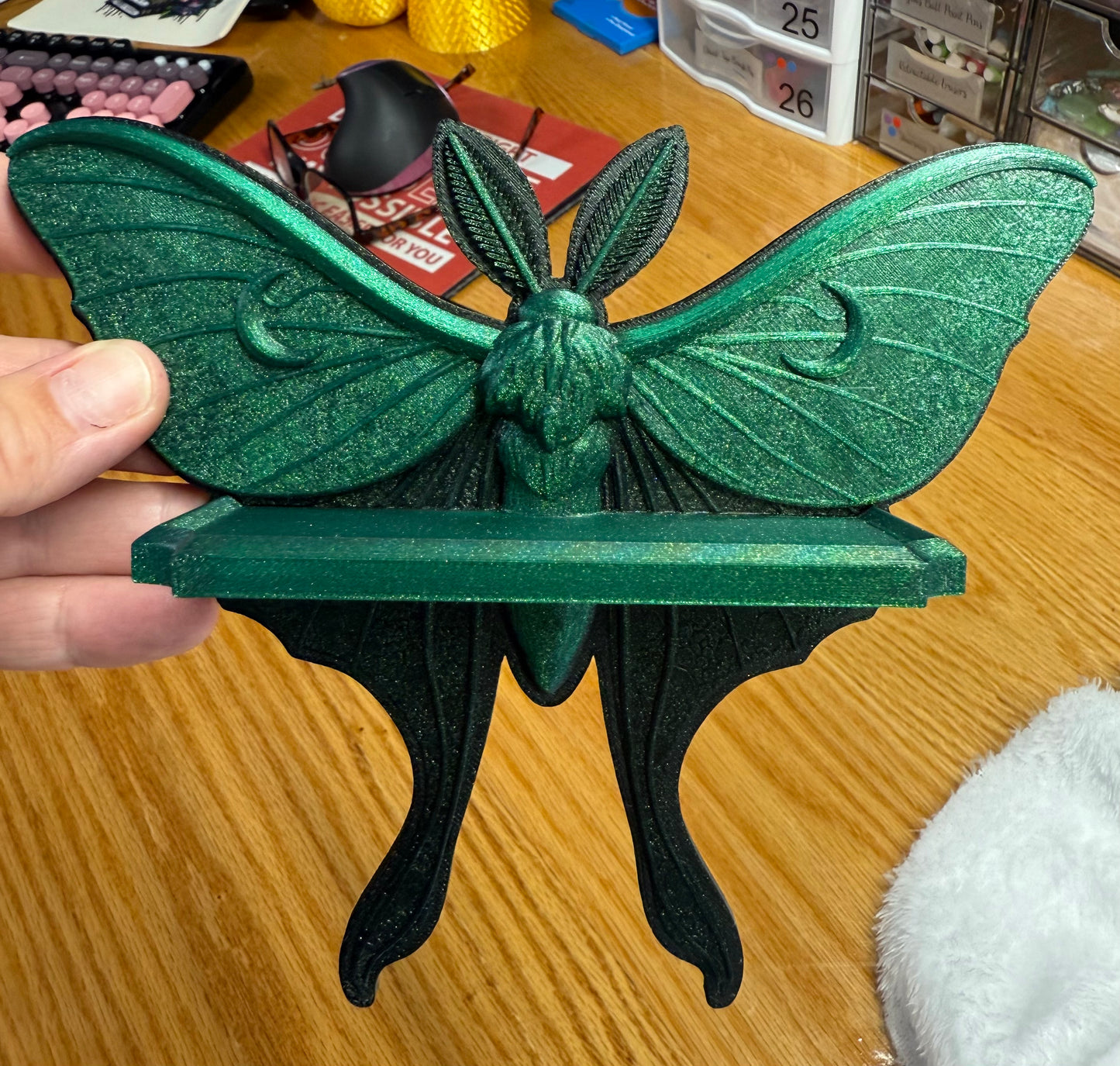 Lunar Moth wall shelf