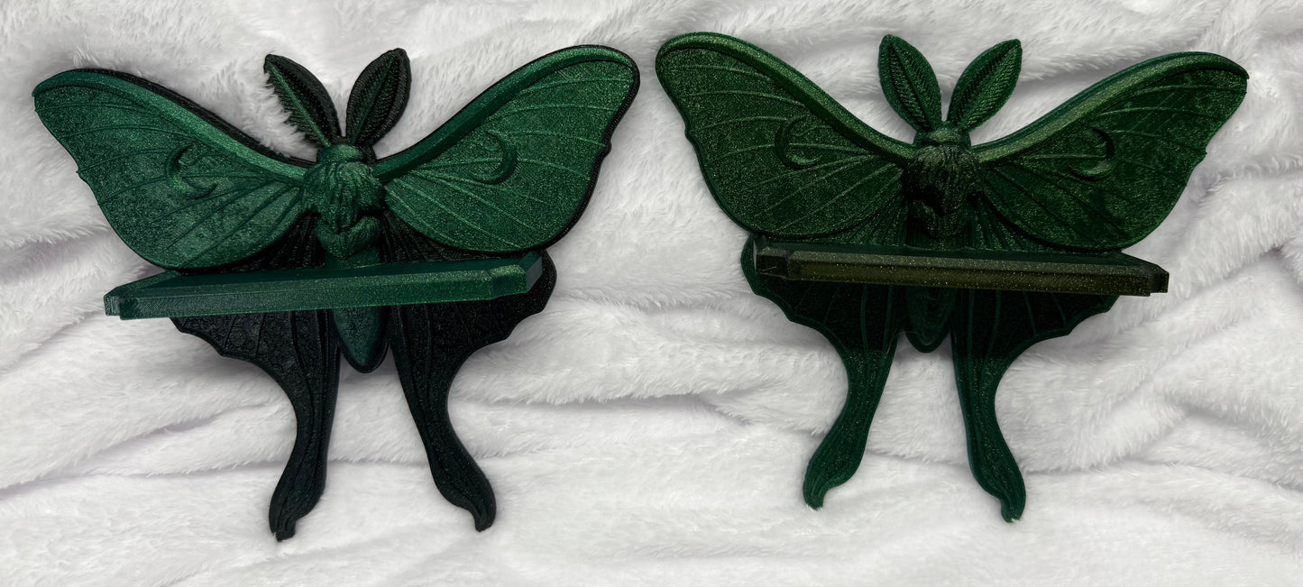 Lunar Moth wall shelf