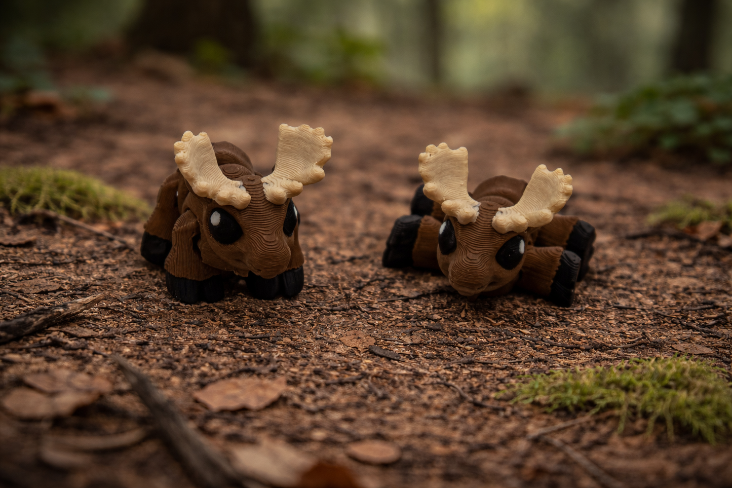 Woodland Creature Set