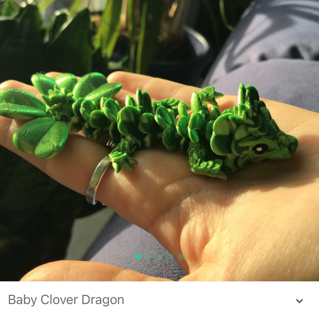 Baby Dragons