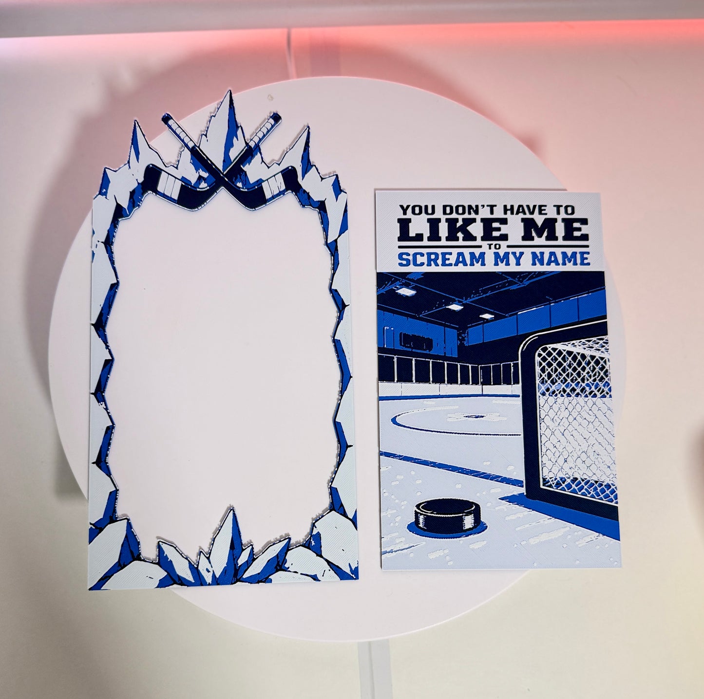 Hockey Booknook