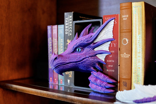 Sea Dragon Book Nook